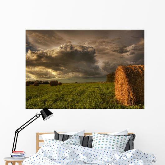 Rolled Hay Bales Under Storm Clouds On A Farm North Of Edmonton Wall Mural