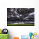 Summer Storm Clouds Over An Unripened Canola Field North Of Edmonton Wall Mural