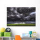 Summer Storm Clouds Over An Unripened Canola Field North Of Edmonton Wall Mural
