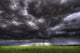 Summer Storm Clouds Over An Unripened Canola Field North Of Edmonton Wall Mural