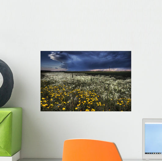 Foxtails And Wildflowers Wall Mural
