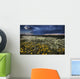 Foxtails And Wildflowers Wall Mural