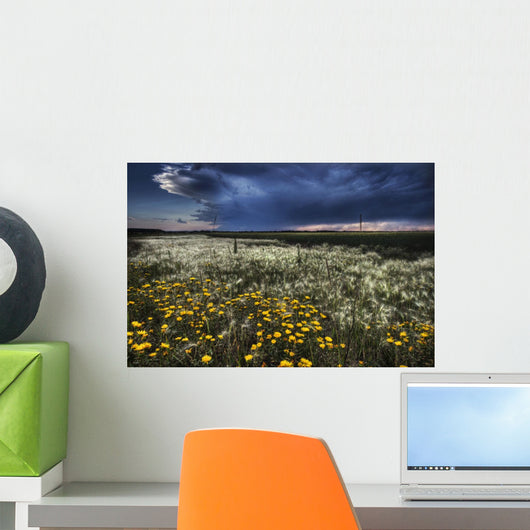 Foxtails And Wildflowers Wall Mural