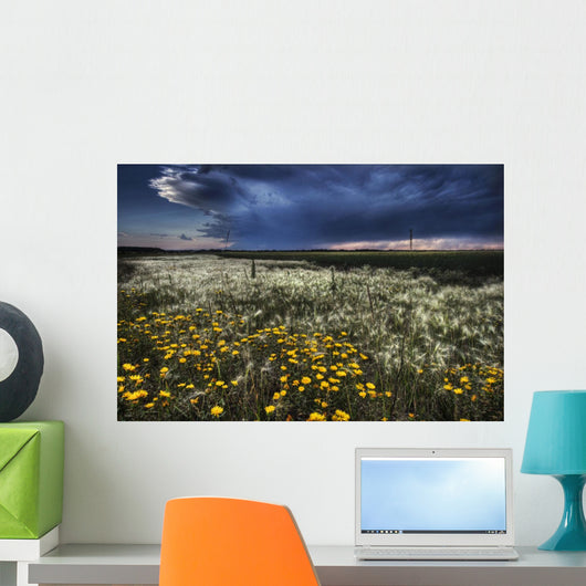Foxtails And Wildflowers Wall Mural