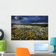 Foxtails And Wildflowers Wall Mural