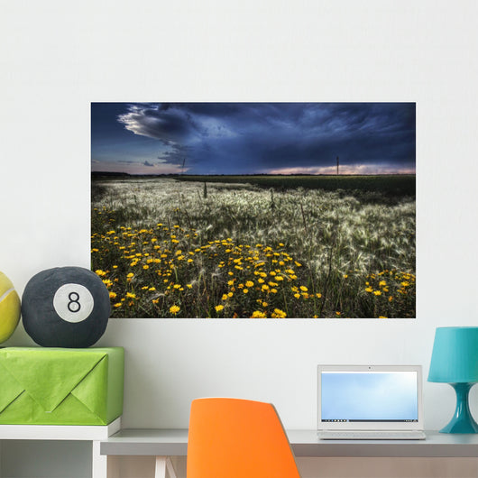 Foxtails And Wildflowers Wall Mural