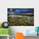 Foxtails And Wildflowers Wall Mural