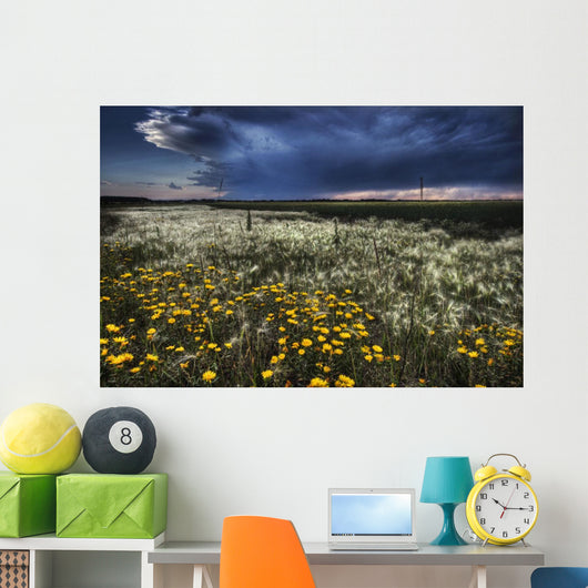 Foxtails And Wildflowers Wall Mural