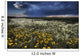 Foxtails And Wildflowers Wall Mural