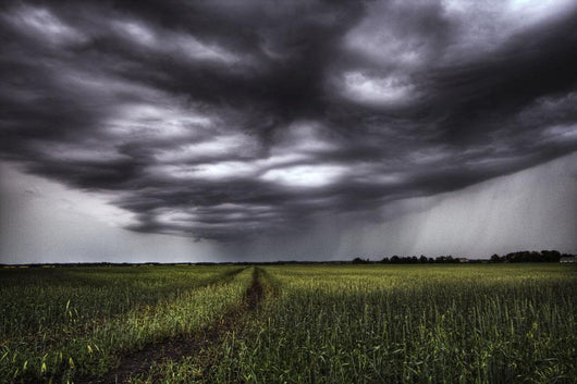 Storm Clouds And Rain Over A Track Wall Mural