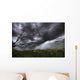 Rain And Thunderstorm Over A Canola Field South Of Bon Accord, Alberta Wall Mural