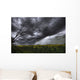 Rain And Thunderstorm Over A Canola Field South Of Bon Accord, Alberta Wall Mural