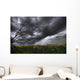 Rain And Thunderstorm Over A Canola Field South Of Bon Accord, Alberta Wall Mural