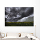 Rain And Thunderstorm Over A Canola Field South Of Bon Accord, Alberta Wall Mural