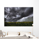 Rain And Thunderstorm Over A Canola Field South Of Bon Accord, Alberta Wall Mural