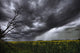 Rain And Thunderstorm Over A Canola Field South Of Bon Accord, Alberta Wall Mural