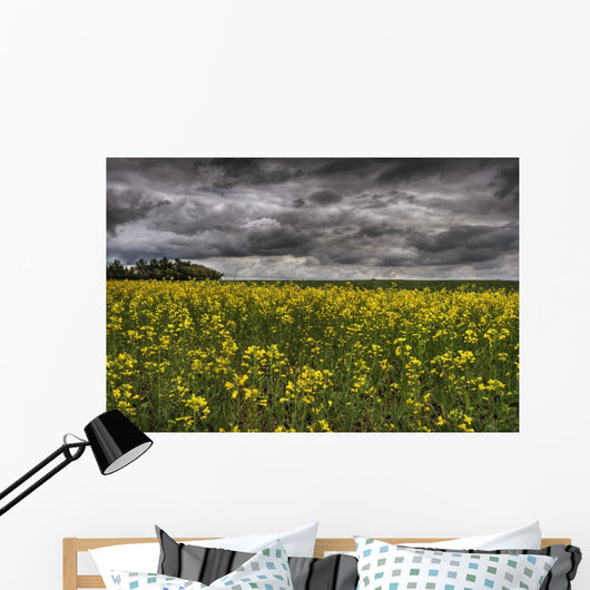 Summer Storm Clouds Over A Canola Field East Of Fort Saskatchewan Wall Mural