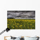 Summer Storm Clouds Over A Canola Field East Of Fort Saskatchewan Wall Mural