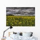 Summer Storm Clouds Over A Canola Field East Of Fort Saskatchewan Wall Mural