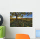 Early Evening Under An Old Poplar Tree North Of Edmonton, Alberta Wall Mural