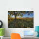 Early Evening Under An Old Poplar Tree North Of Edmonton, Alberta Wall Mural