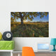 Early Evening Under An Old Poplar Tree North Of Edmonton, Alberta Wall Mural