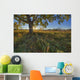 Early Evening Under An Old Poplar Tree North Of Edmonton, Alberta Wall Mural