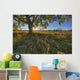 Early Evening Under An Old Poplar Tree North Of Edmonton, Alberta Wall Mural