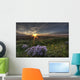 Summer Sunset Over Prairie Wildflowers North Of Bon Accord, Alberta Wall Mural