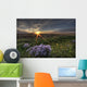 Summer Sunset Over Prairie Wildflowers North Of Bon Accord, Alberta Wall Mural