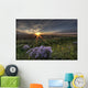 Summer Sunset Over Prairie Wildflowers North Of Bon Accord, Alberta Wall Mural