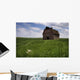 Old Red Barn And A Field Of Dandelions In Summer Wall Mural