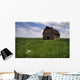 Old Red Barn And A Field Of Dandelions In Summer Wall Mural