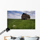 Old Red Barn And A Field Of Dandelions In Summer Wall Mural