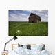 Old Red Barn And A Field Of Dandelions In Summer Wall Mural