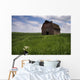Old Red Barn And A Field Of Dandelions In Summer Wall Mural