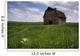 Old Red Barn And A Field Of Dandelions In Summer Wall Mural