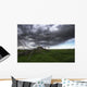 Blowing Grass And Deadwood During A Summer Storm Wall Mural