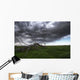 Blowing Grass And Deadwood During A Summer Storm Wall Mural