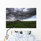 Blowing Grass And Deadwood During A Summer Storm Wall Mural