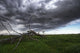 Blowing Grass And Deadwood During A Summer Storm Wall Mural