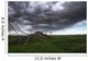 Blowing Grass And Deadwood During A Summer Storm Wall Mural