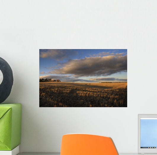Farm And Stubble In Fall During Harvest, Near Edmonton, Alberta Wall Mural