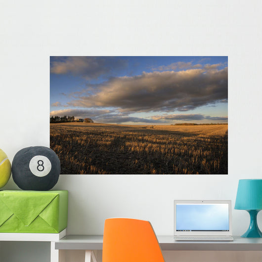 Farm And Stubble In Fall During Harvest, Near Edmonton, Alberta Wall Mural