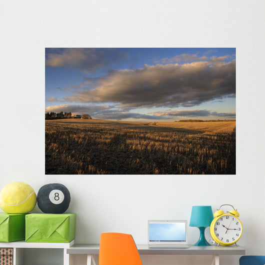 Farm And Stubble In Fall During Harvest, Near Edmonton, Alberta Wall Mural