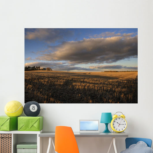Farm And Stubble In Fall During Harvest, Near Edmonton, Alberta Wall Mural