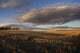 Farm And Stubble In Fall During Harvest, Near Edmonton, Alberta Wall Mural