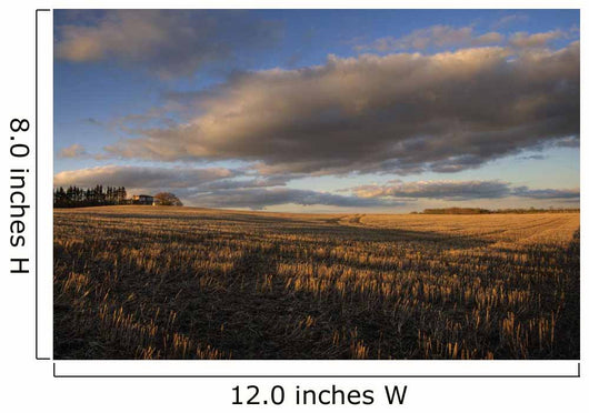 Farm And Stubble In Fall During Harvest, Near Edmonton, Alberta Wall Mural