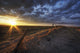 Old Fence In Field, Namao, Alberta Wall Mural