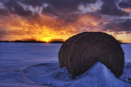 Hay Bale On Field With Sunset, Namao, Alberta Wall Mural